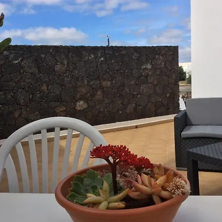 Oasis De *