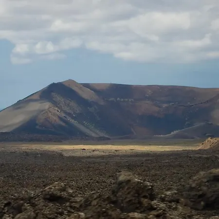 Oasis De *